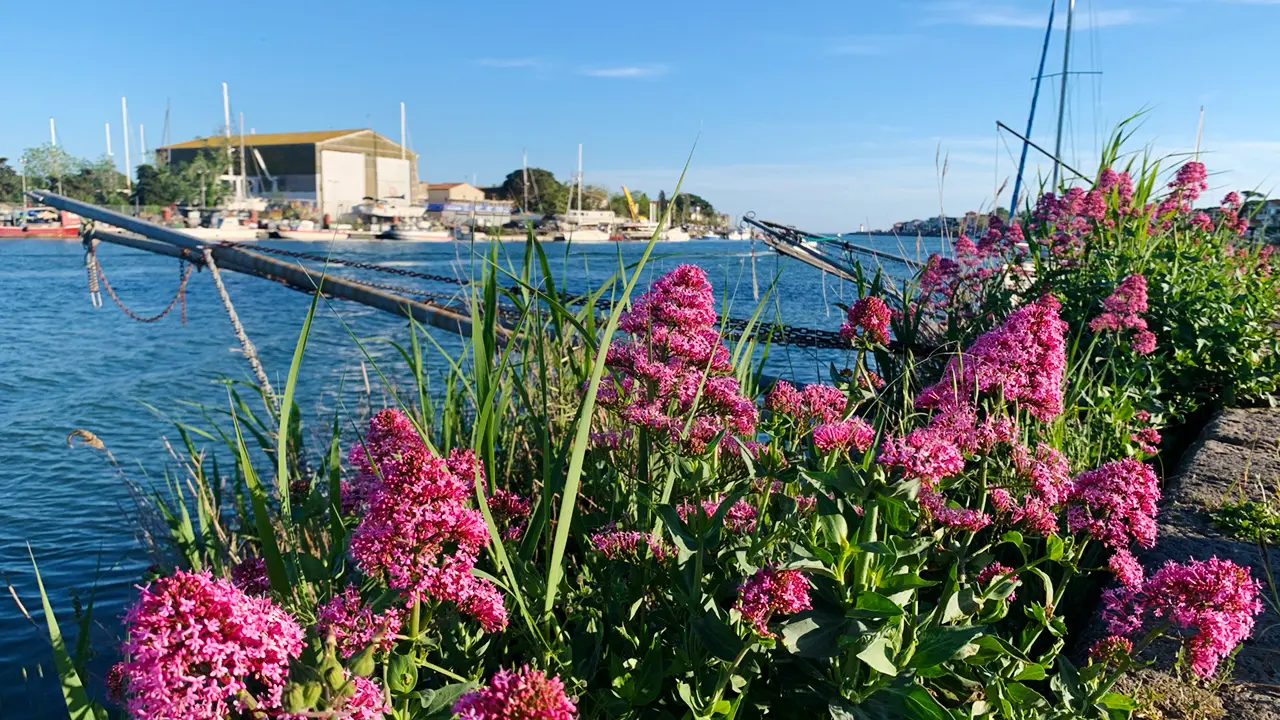 Appartement Étoile de la Mer