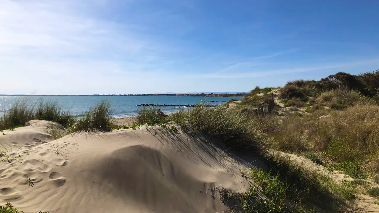 Appartement Étoile de la Mer