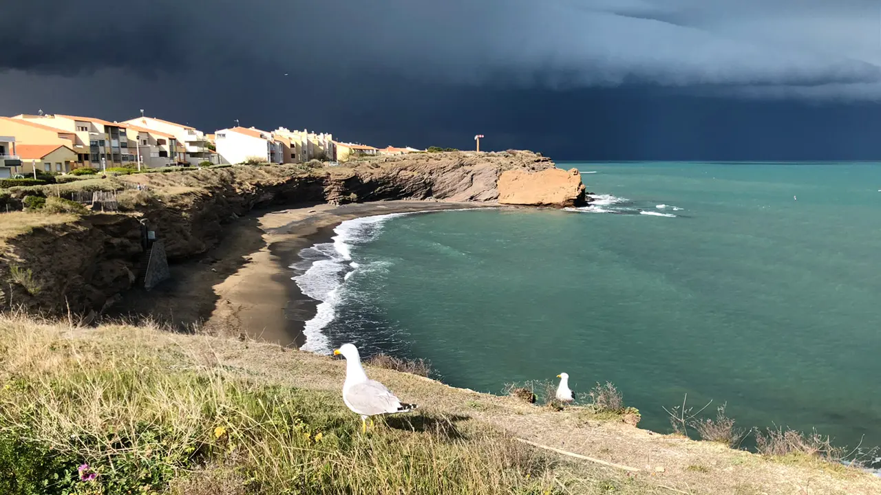 Appartement Étoile de la Mer